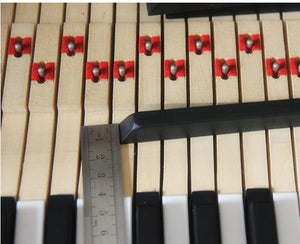 Black Replacement Key For Grand Pianos